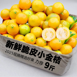 广西融安脆皮金桔10斤小橘子新鲜水果当季整箱包邮蜜柑孕妇青金橘