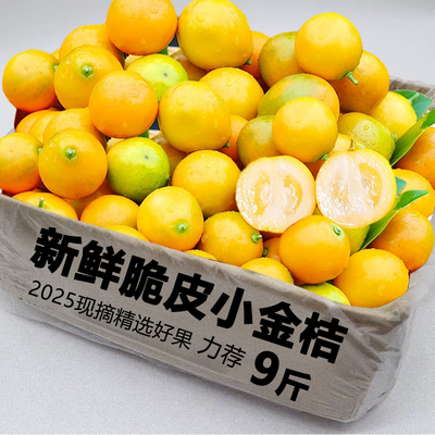 脆皮小金桔新鲜现摘纯甜多汁