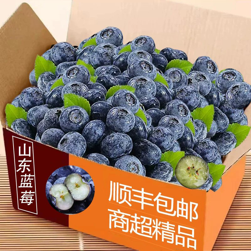 当季精选新鲜蓝莓当季水果蓝莓鲜果整箱香甜蓝莓应季现摘大果整箱