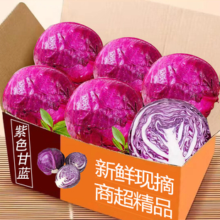新鲜紫甘蓝紫包菜紫色球生菜红椰菜西餐蔬菜轻食沙拉食材减脂食材