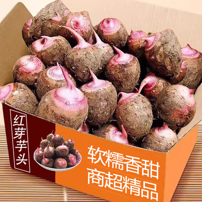 红芽芋头5斤整箱包邮力荐