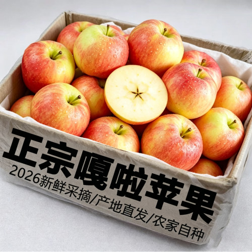 新鲜正宗嘎啦苹果应季水果糖甜心
