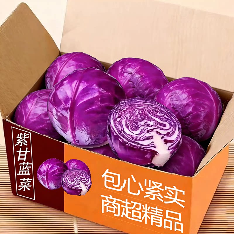 云南紫甘蓝整箱包邮力推荐