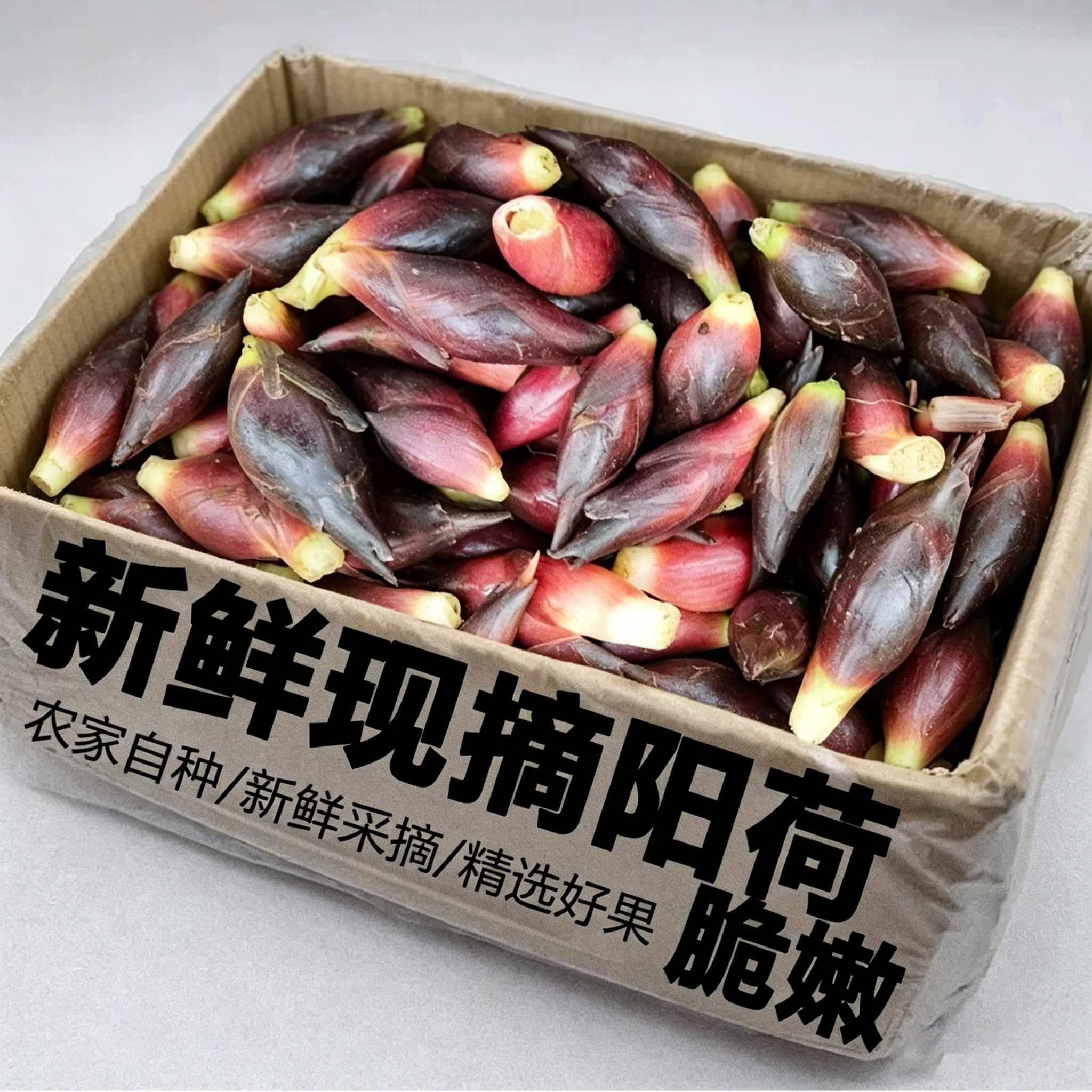 阳荷姜新鲜洋荷洋河蘘荷姜2斤野生阳和姜蔬菜阳藿洋胡姜腌制发货