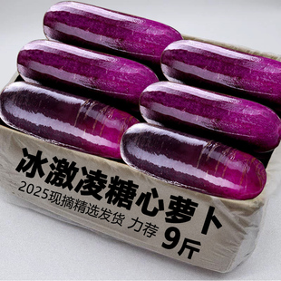 冰淇淋水果萝卜新鲜现挖冰激凌甜脆生吃冰糖心紫皮萝卜沙拉萝卜