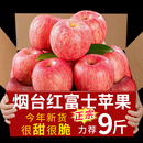 正宗山东烟台红富士苹果新鲜应季 水果孕妇整箱脆甜冰糖心丑苹果9