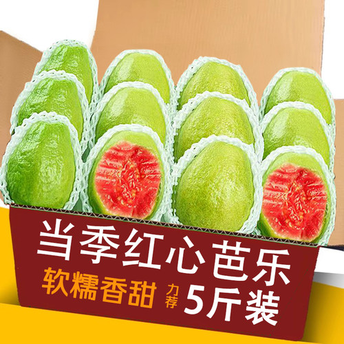 红心芭乐5斤整箱包邮力荐