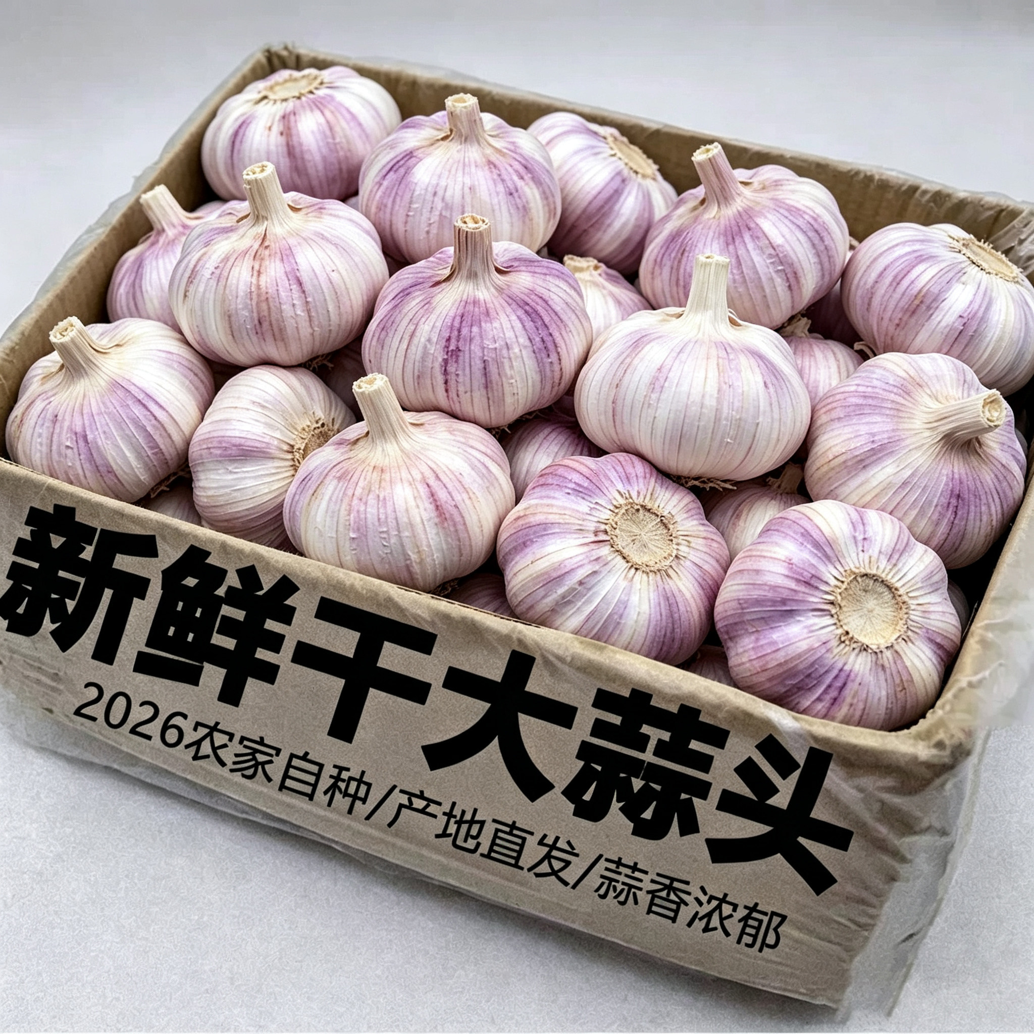 正宗河南当季干大蒜今年新鲜