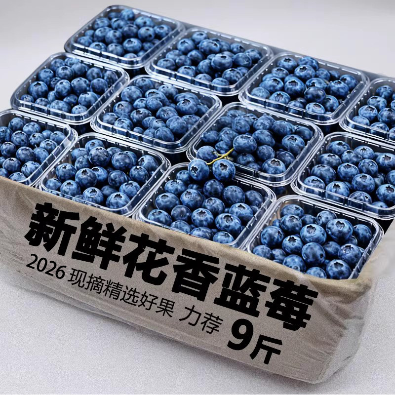 当季精选新鲜蓝莓当季水果蓝莓鲜果整箱香甜蓝莓应季现摘大果整箱