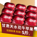 红蛇粉面平果丑 糖心当季 甘肃天水花牛苹果10斤新鲜水果整箱 包邮