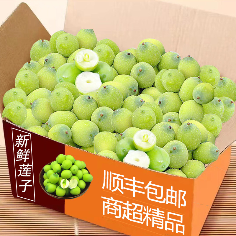 现摘莲子米整箱包邮力荐