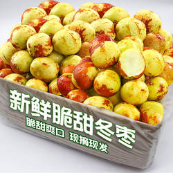 正宗沾化冬枣5斤脆甜枣子大枣新鲜当季水果整箱包邮现摘现发脆甜