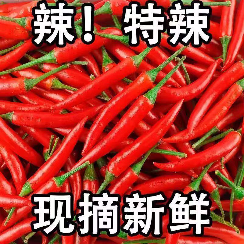 力荐！5斤小米辣整箱包邮
