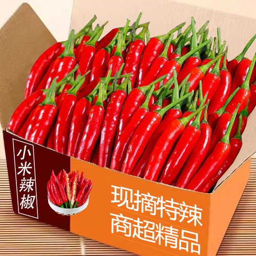 小米辣椒5斤整箱包邮力荐