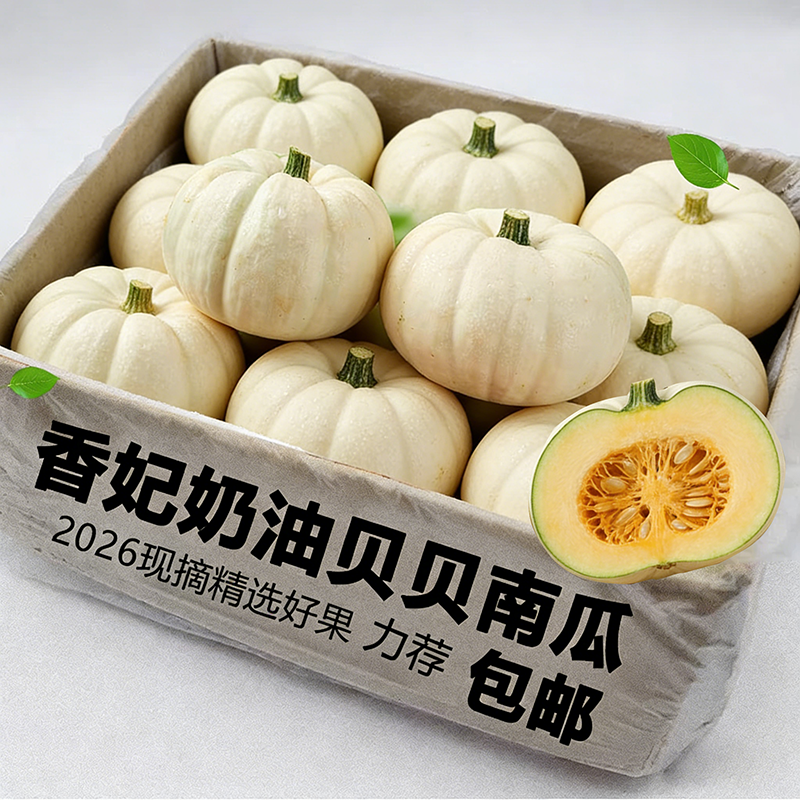 白贝贝白雪贝贝南瓜奶油贝贝南瓜头茬新鲜婴幼儿辅食山东寿光发