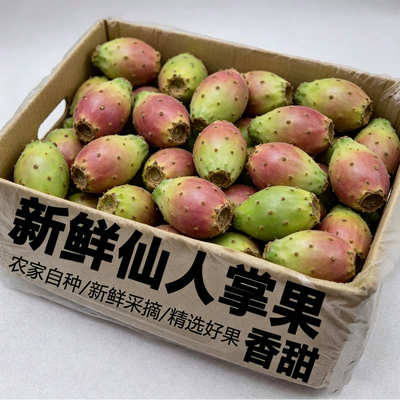 海南野生仙人掌果新鲜当季水果