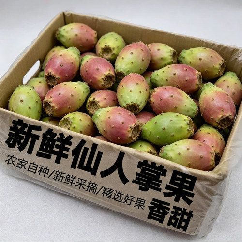 海南野生仙人掌果新鲜当季水果