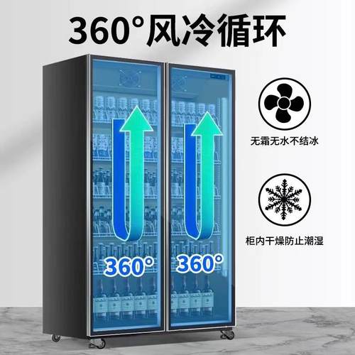 酒水柜商用网红啤酒饮料柜展示柜冷藏保鲜风冷三门双门玻璃门冷柜