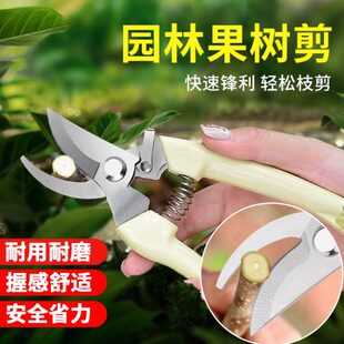 花剪修枝剪盆栽专用神器果树采摘枝园艺家用园林修花剪刀剪花艺剪