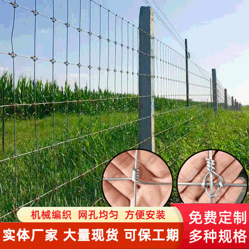 养羊围栏网圈养防护网出口全钢丝网养殖网加工定制家用防护养鹿网