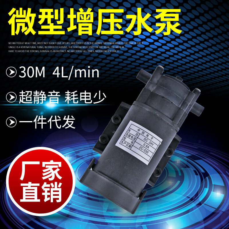 24v热水循环泵塑料水泵耐腐微型齿轮泵耐高温直流自吸泵罐装泵
