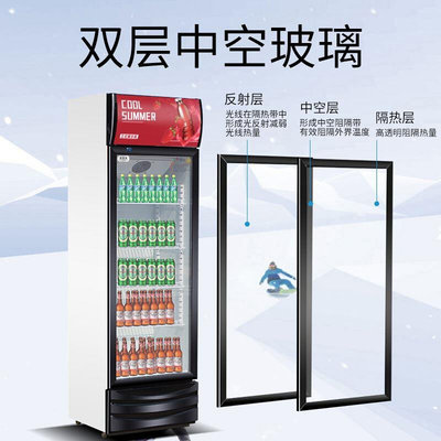 冷藏展WQY-OK10冰示柜单门料柜商门用双开保鲜柜立式三门啤酒冰饮