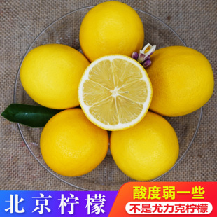 北京柠檬-像橙子的土柠檬-黄柠檬新鲜现摘-重庆万州-农家自种自摘