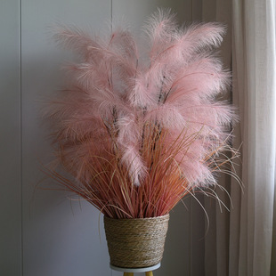 J^h芦苇花假花干花粉色大蒲苇羽毛花束客厅室内摆件橱窗落地