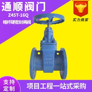 防护闸阀表前阀 铜芯硬密封防护闸阀 z41h铸铁俄标闸阀法兰阀门