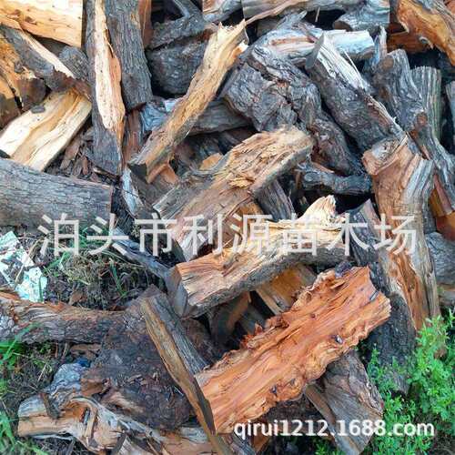 常年供应枣木枣木劈柴枣木柴火烤鸭枣木劈柴木质硬稳定