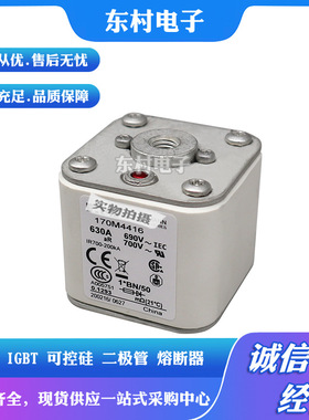 现货170M4802 170M4803 170M4804 170M4805 170M4806全新熔断器