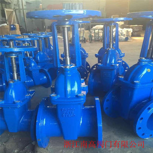 明杆闸阀Z41X DN80软密封 10Q