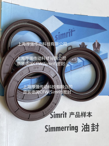德国Simrit/FREUDENBERG高温高压油封CZ CFW 1 BAB2SL0.5 35-52-6