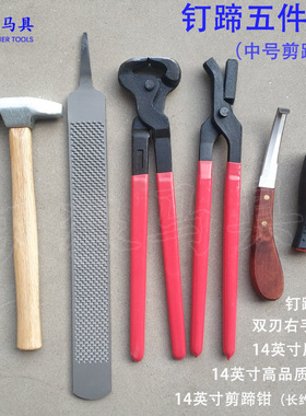 修蹄钉掌五件套 剪蹄钳马蹄锉修蹄刀压钉钳 修蹄工具天狼马具
