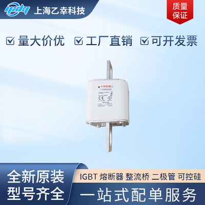 巴斯曼熔断器  170M6691 170M6692 170M6693 170M6694 170M6695