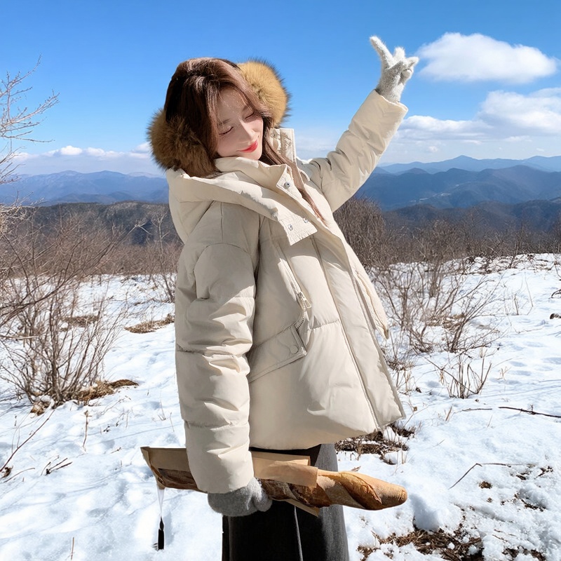 新款首发2170-P295-K539新国标白鸭绒羽绒服面包