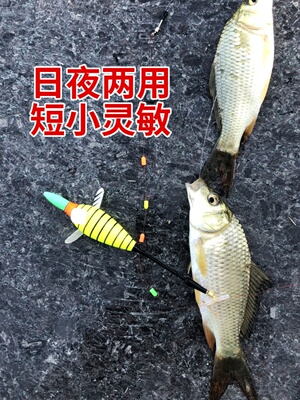 旋转小物漂电子夜光漂线组套装微物鳑鲏石斑溪流浅水漂高灵敏鱼漂