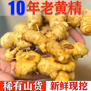 四川现挖新鲜黄精鲜货老虎姜鸡头参大黄姜煲汤黄精野生正品正宗