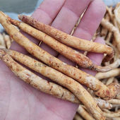 川明参四川沙参南沙参中药材煲汤本色川明参四川干货无硫正品