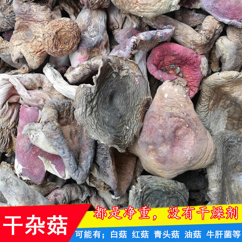 野生食用菌杂菇红菇青头菇白菇牛肝菌干货干菌子野生菌子食材