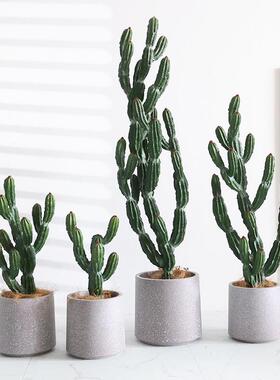 仿真仙人掌室内场景橱窗装饰摆件大型植物北欧仙人柱假绿植武伦柱
