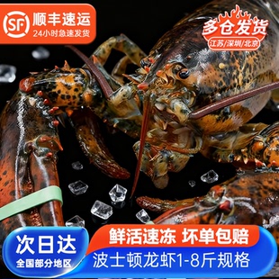 鲜承 鲜活鲜冻龙虾波龙波士顿大龙虾1-8斤超大澳龙送海鲜礼盒500g