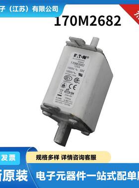 170M7666 170M7671 170M7676 170M7978原盒陶瓷熔断器 保险丝