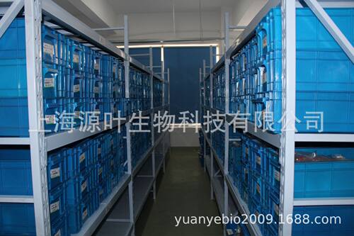 2′-脱氧胞苷-5′-单磷酸/1032-65-1/源叶 S18094/dCMP/高纯，98%