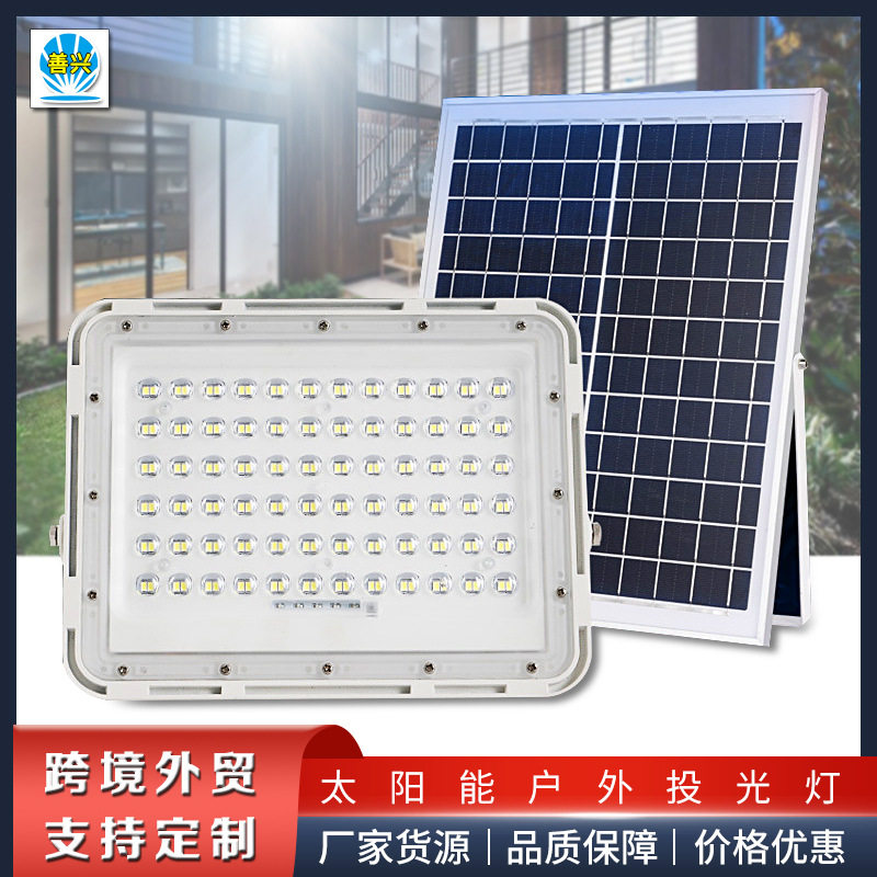 太阳能强光超亮户外庭院灯家用新农村照明路灯养殖渔场防水投光灯