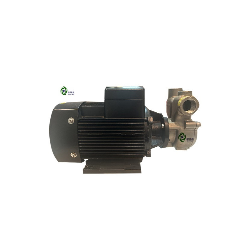 益顿厂家直 销304SS不锈钢溶气泵自吸式气浮泵循环泵气液混合泵用