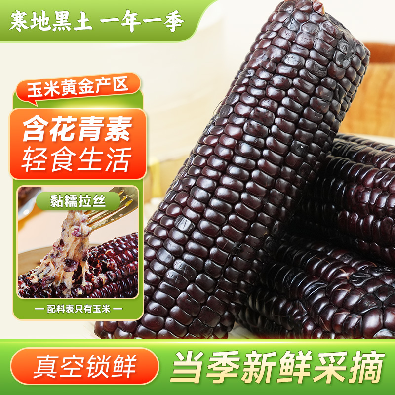 东北新玉米2025真空包装玉米