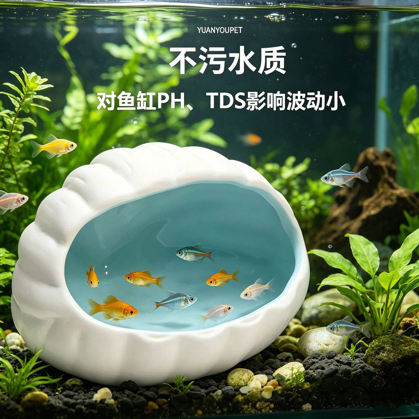 水族箱全景布景陶瓷贝壳躲避洞鱼虾繁殖陶罐鱼缸造景装饰品