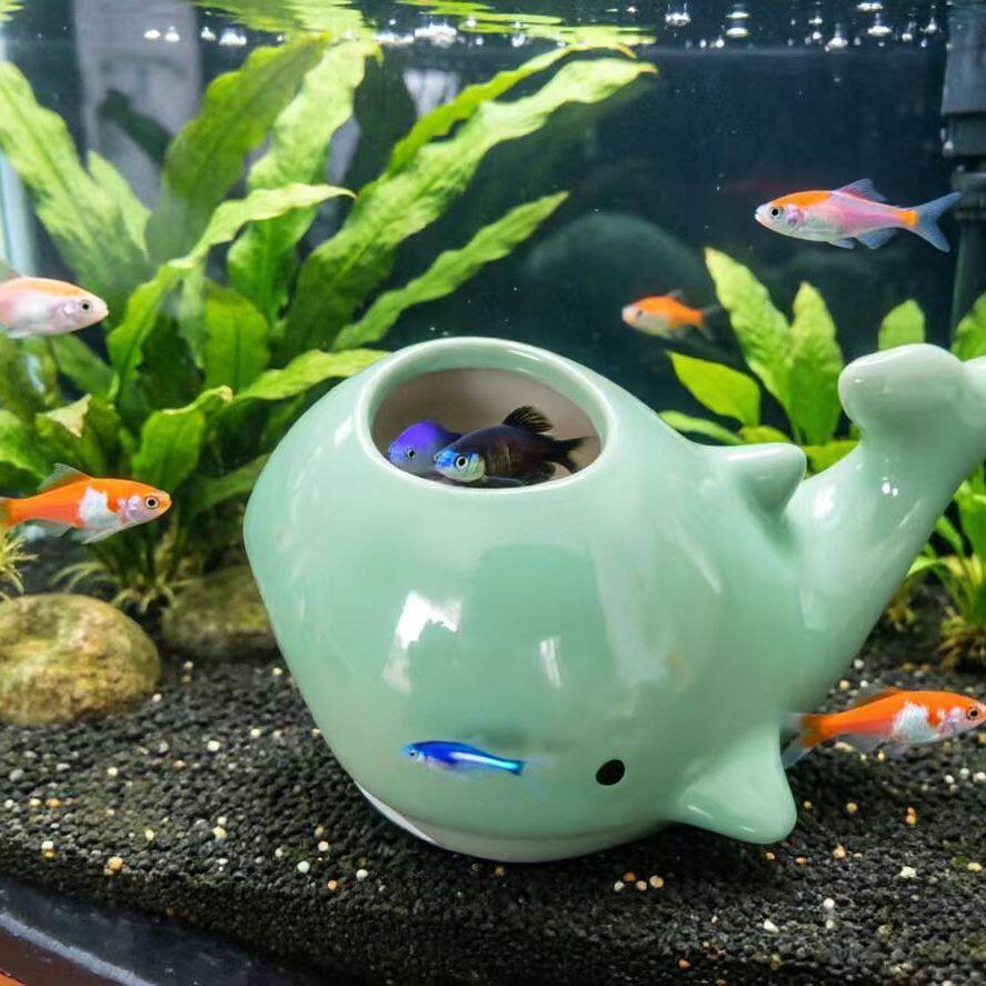 鱼缸造景陶瓷鲸鱼躲避屋鱼虾躲避洞小鱼藏身窝水族箱装饰摆件