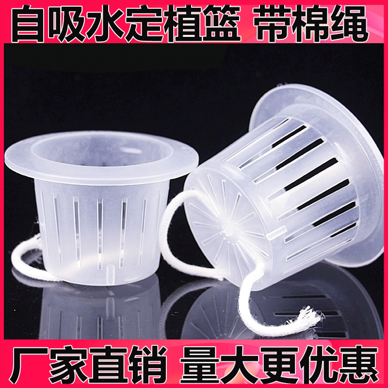 土培定植篮水培植物玻璃花瓶可养鱼花篮圆形栽培绿萝富贵竹固根器